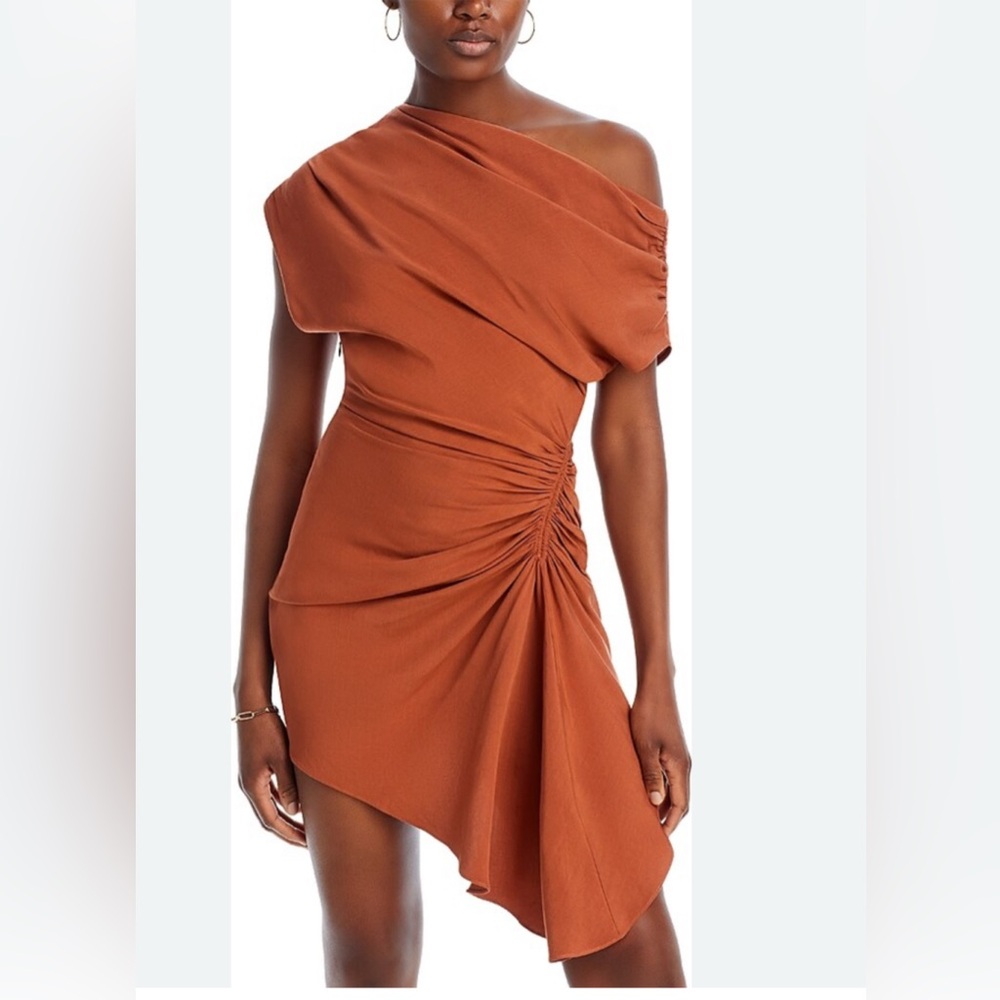 A.L.C. One-Shoulder Dress in Rust